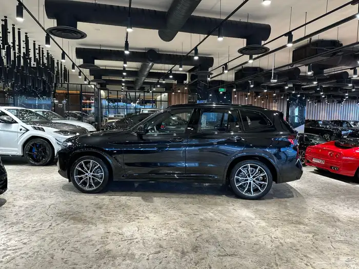 بي ام دبليو اكس 3 - BMW X3 xDrive 20i 2024 2