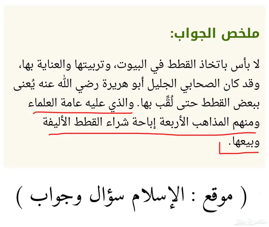 ذكر سكوتش قولد من أب مستورد من روسيا بيور 3
