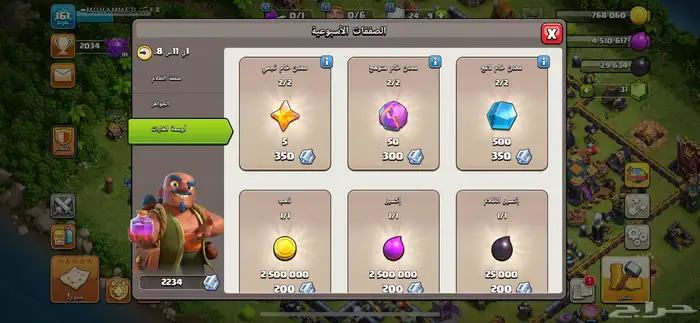 تم البيع 5