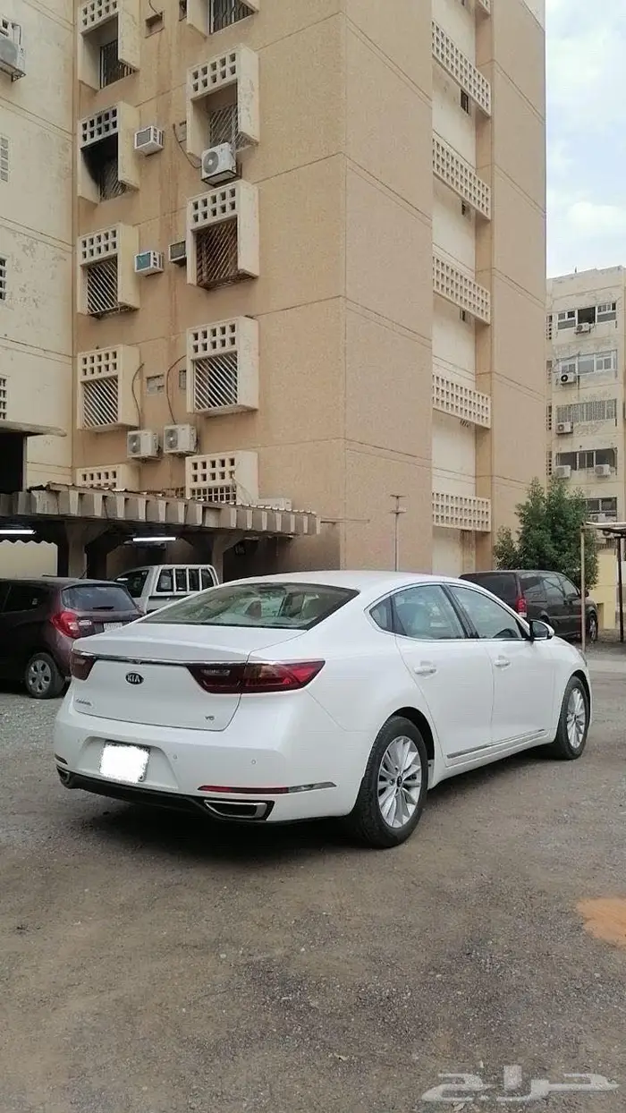 كادينزا 2018 تم البيع 2