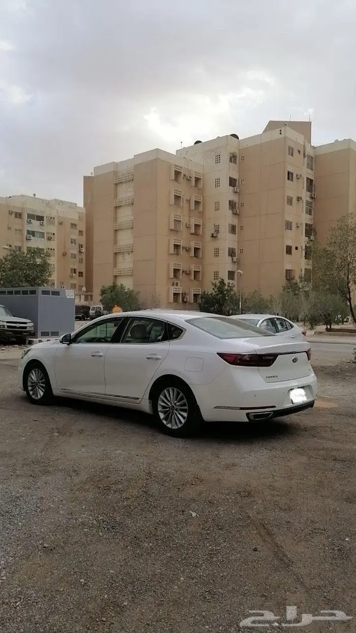 كادينزا 2018 تم البيع 4