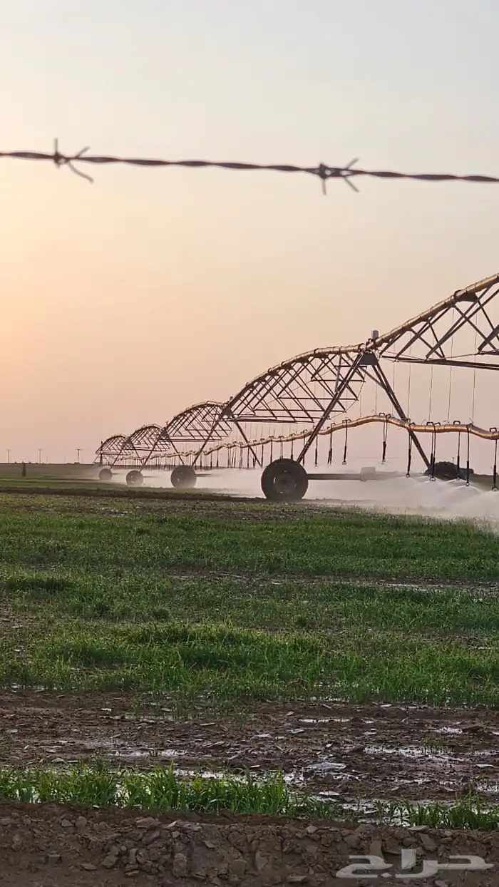 موظف ذو خبره في التواصل الاجتماعي 0