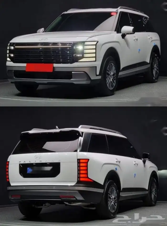 بلاسيد 2025 0