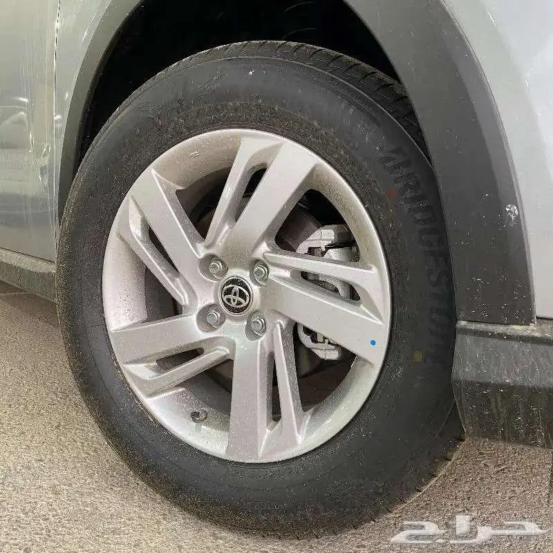 رايز 2024 5