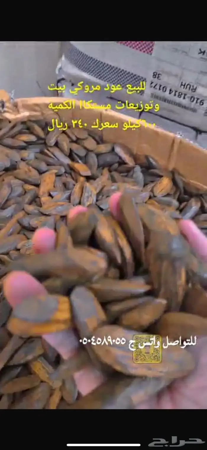 عود مروكي محسن 0