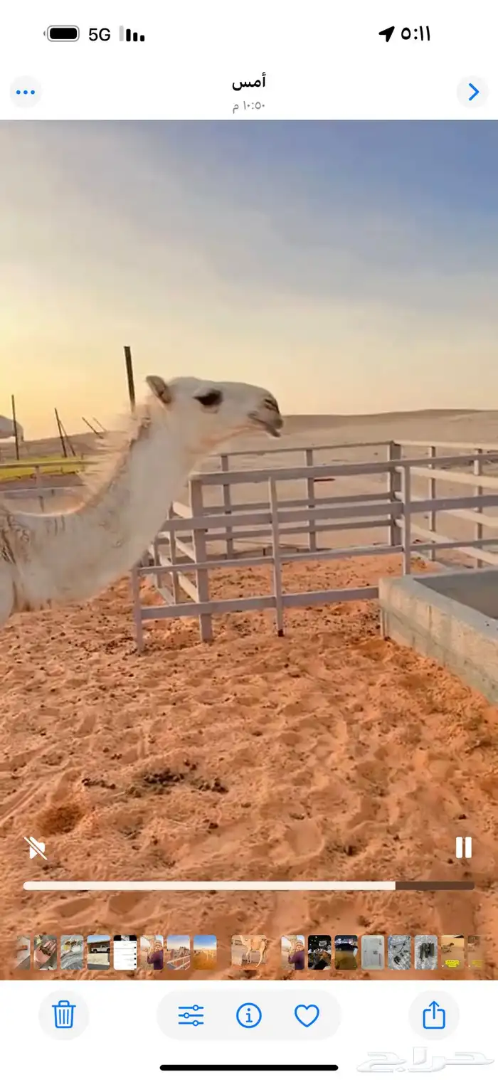 حوار طيب ماشاء الله تبارك الله 0