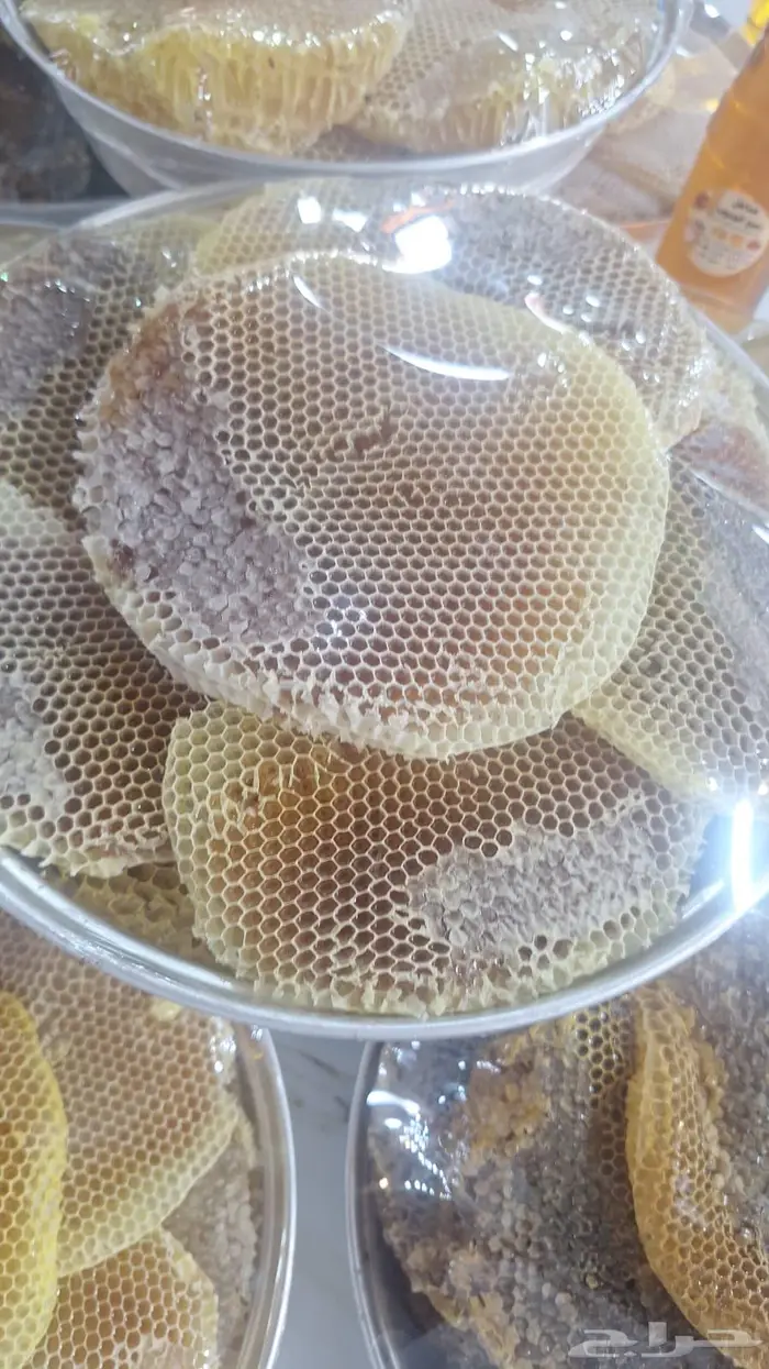 عسل بلدي وطبيعي شرط وامانه 6
