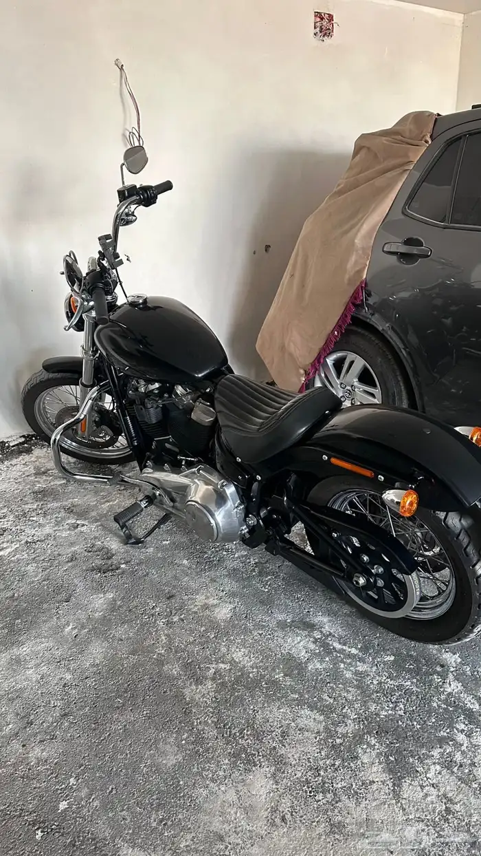 Harley Davidson softail هارلي ديفيدسون سوفتيل 7