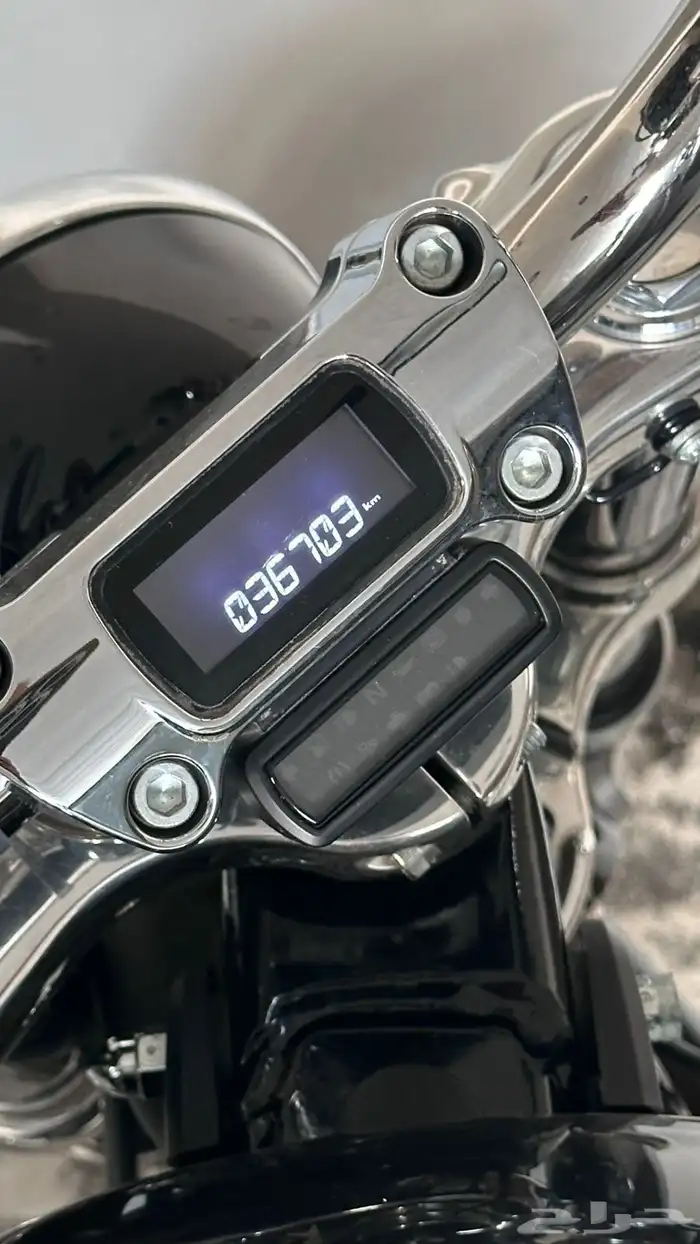 Harley Davidson softail هارلي ديفيدسون سوفتيل 5