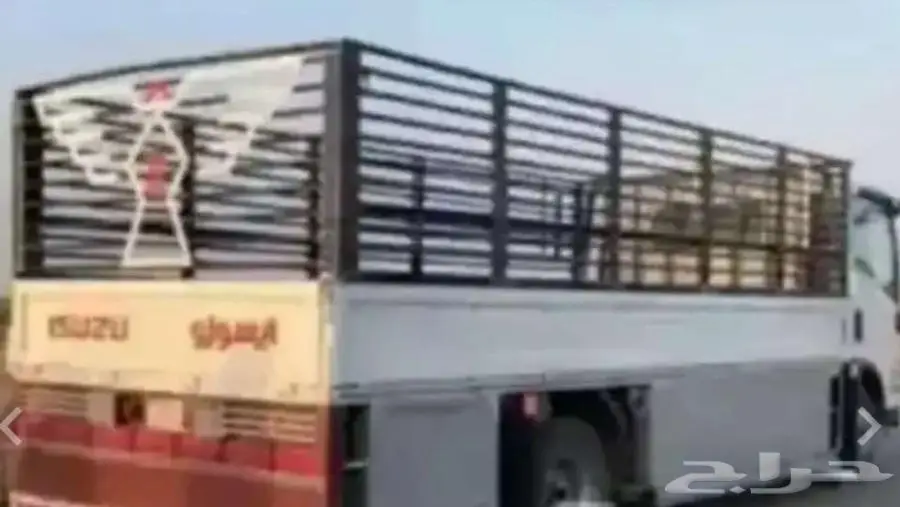 دينه نقل الطائف نقل دينا دينه 0