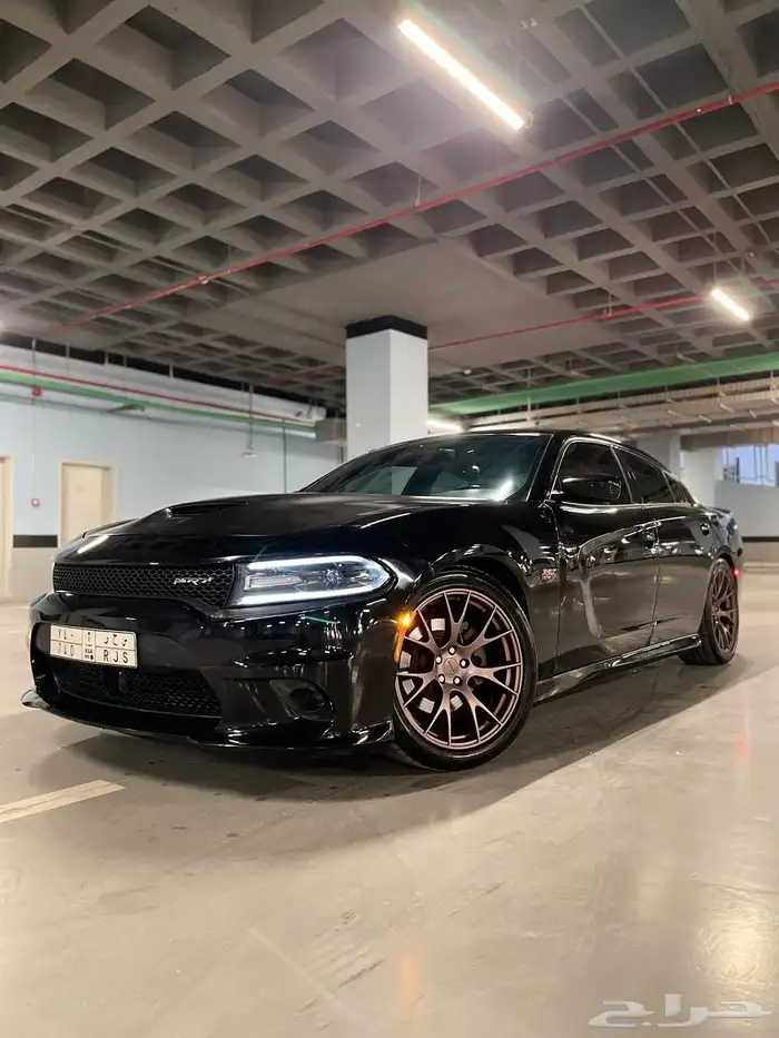 مصور فوتوغرافي محترف 29