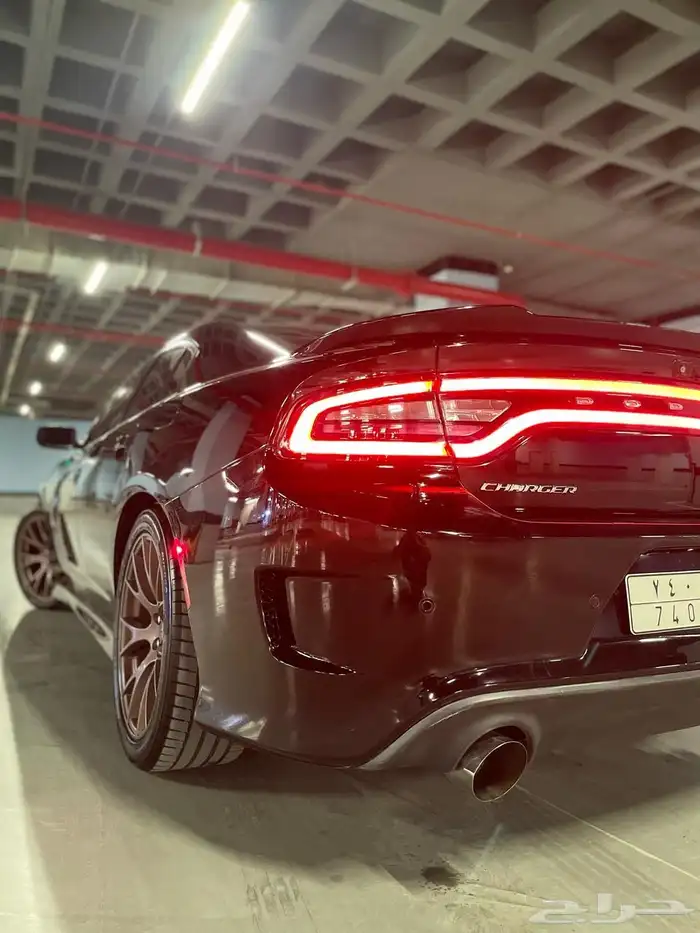 مصور فوتوغرافي محترف 30