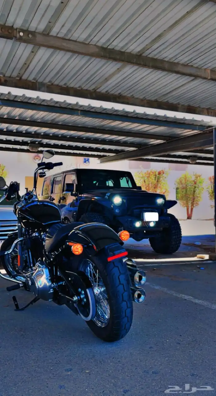 Harley Davidson softail هارلي ديفيدسون سوفتيل 0