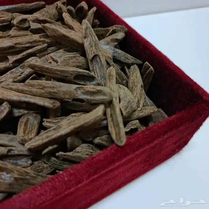 عود بخور جماله وبياض وجه كلمنتان الفخامة 3