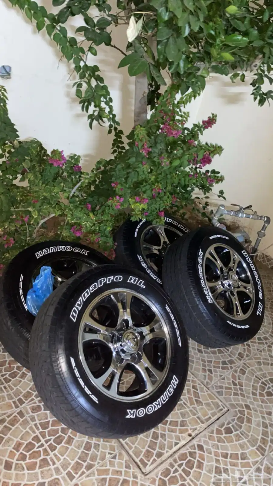 جنوط ربع 0