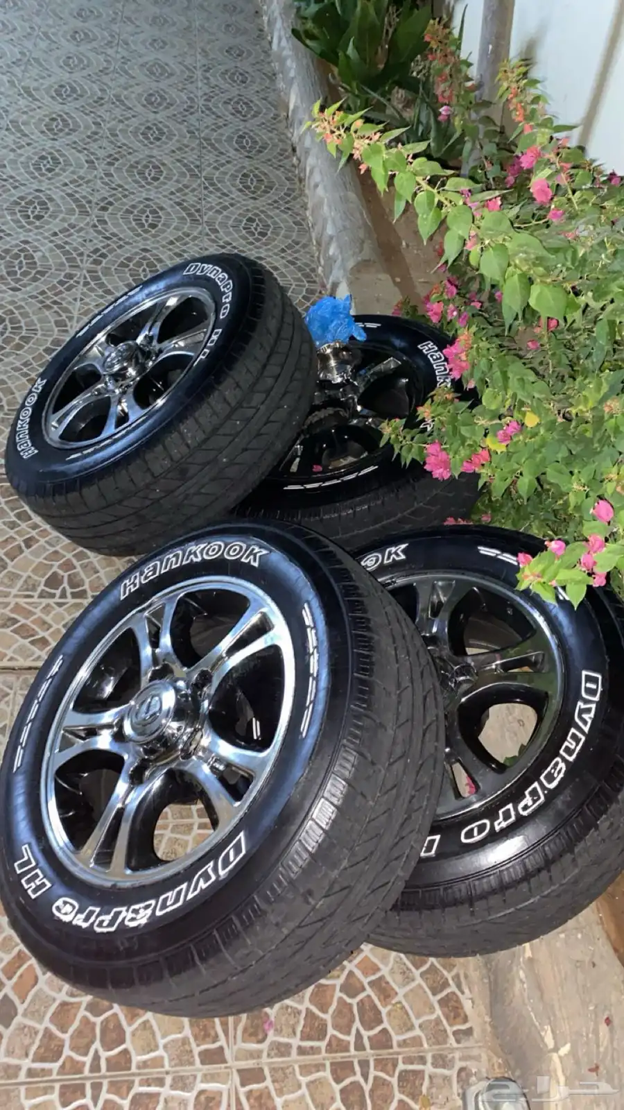 جنوط ربع 1