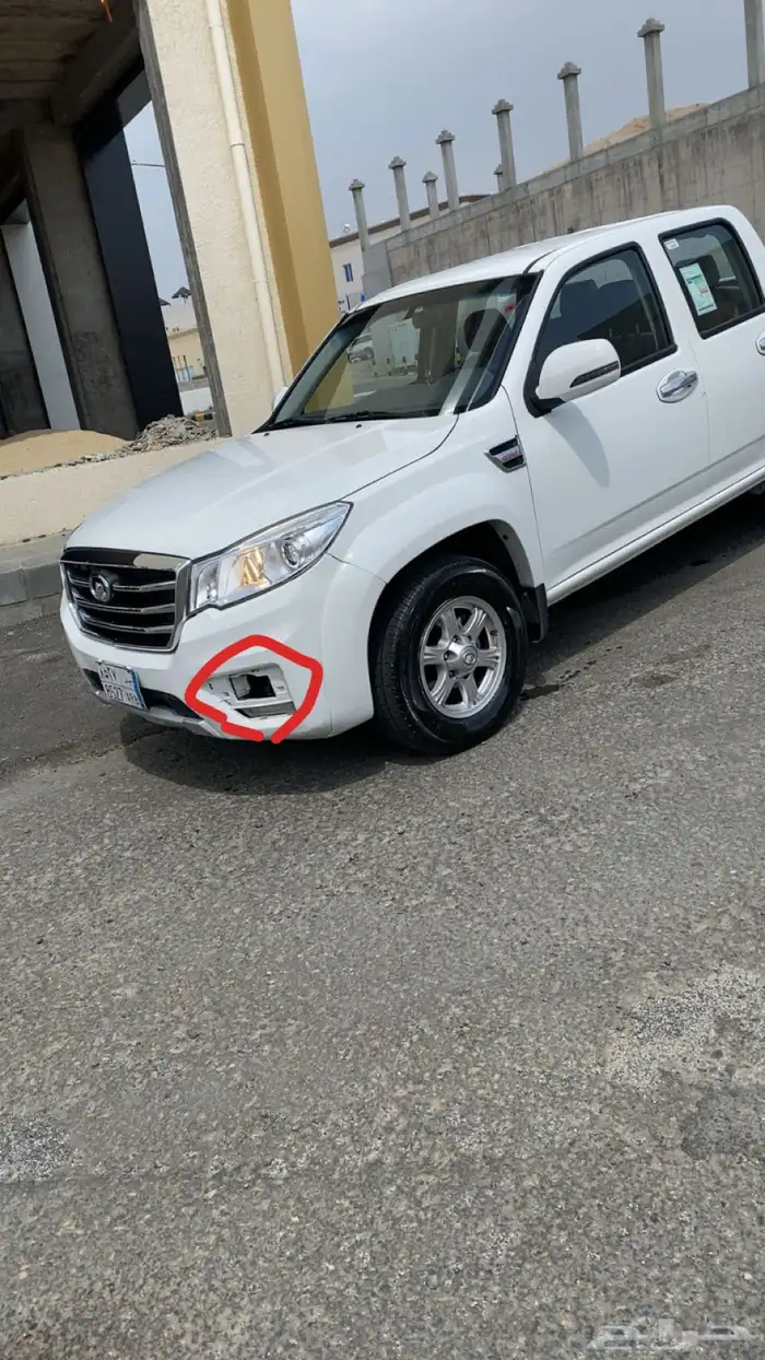 ونجل 6 2019. 3