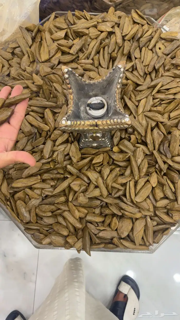 عود مروكي دبل سوبر 1