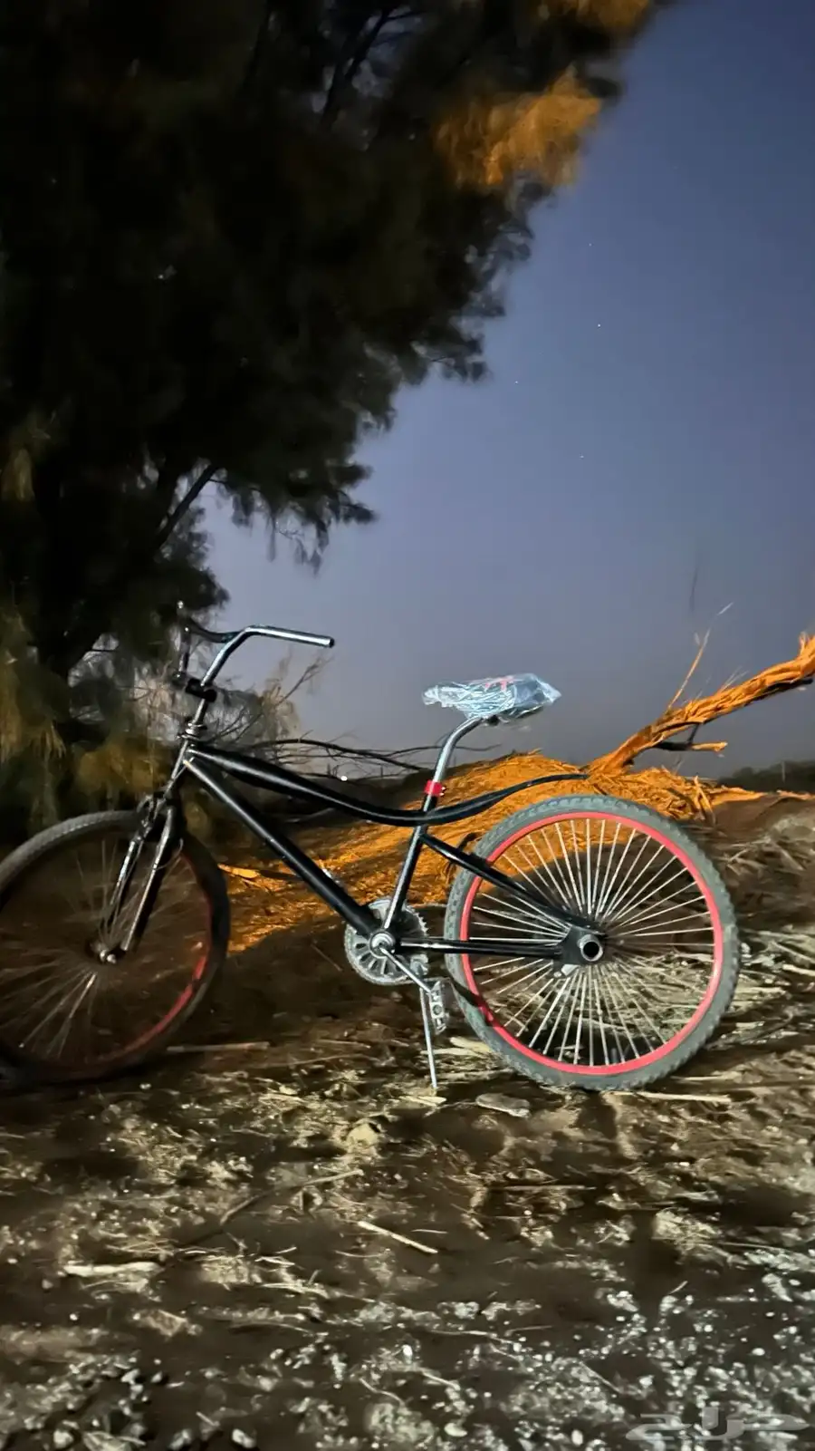 سيكل كوبرا للبيع مقاس 24 95