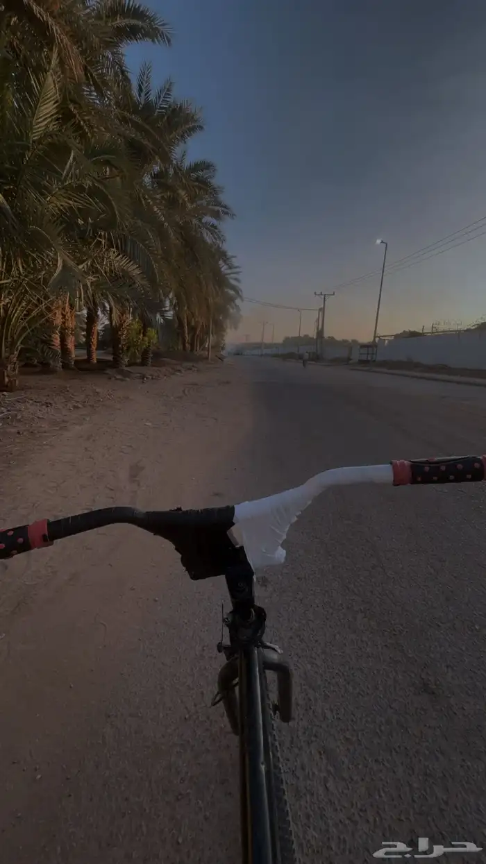 سيكل كوبرا للبيع مقاس 24 37