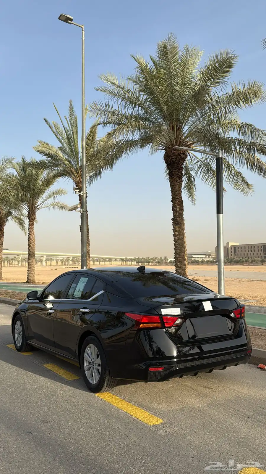 التيما 2024 1