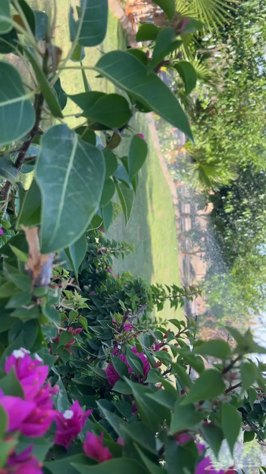 شاليه للإيجار اليومي بالخطه 10
