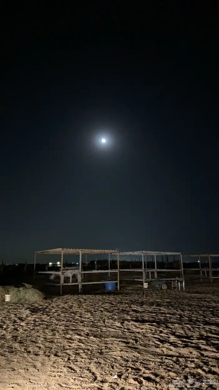 ايواء خيل 2