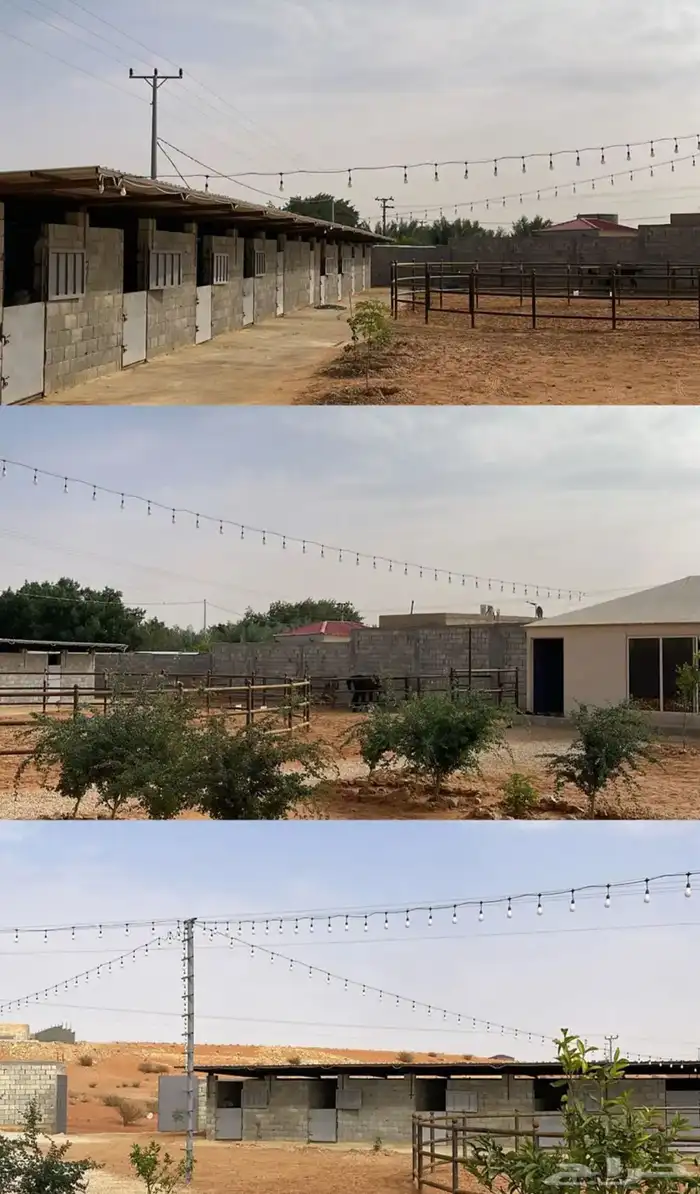 إيواء خيل 0