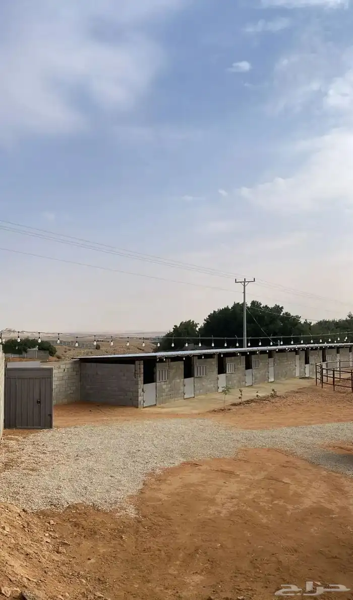 إيواء خيل 4
