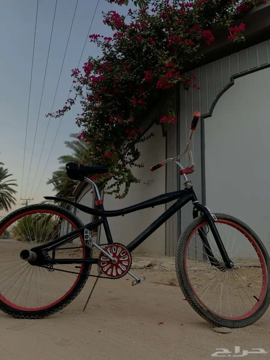 سيكل كوبرا للبيع مقاس 24 0