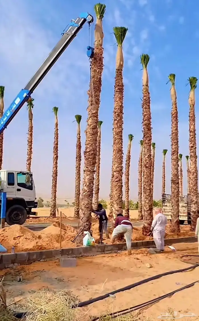 زراعه وحدائق 19