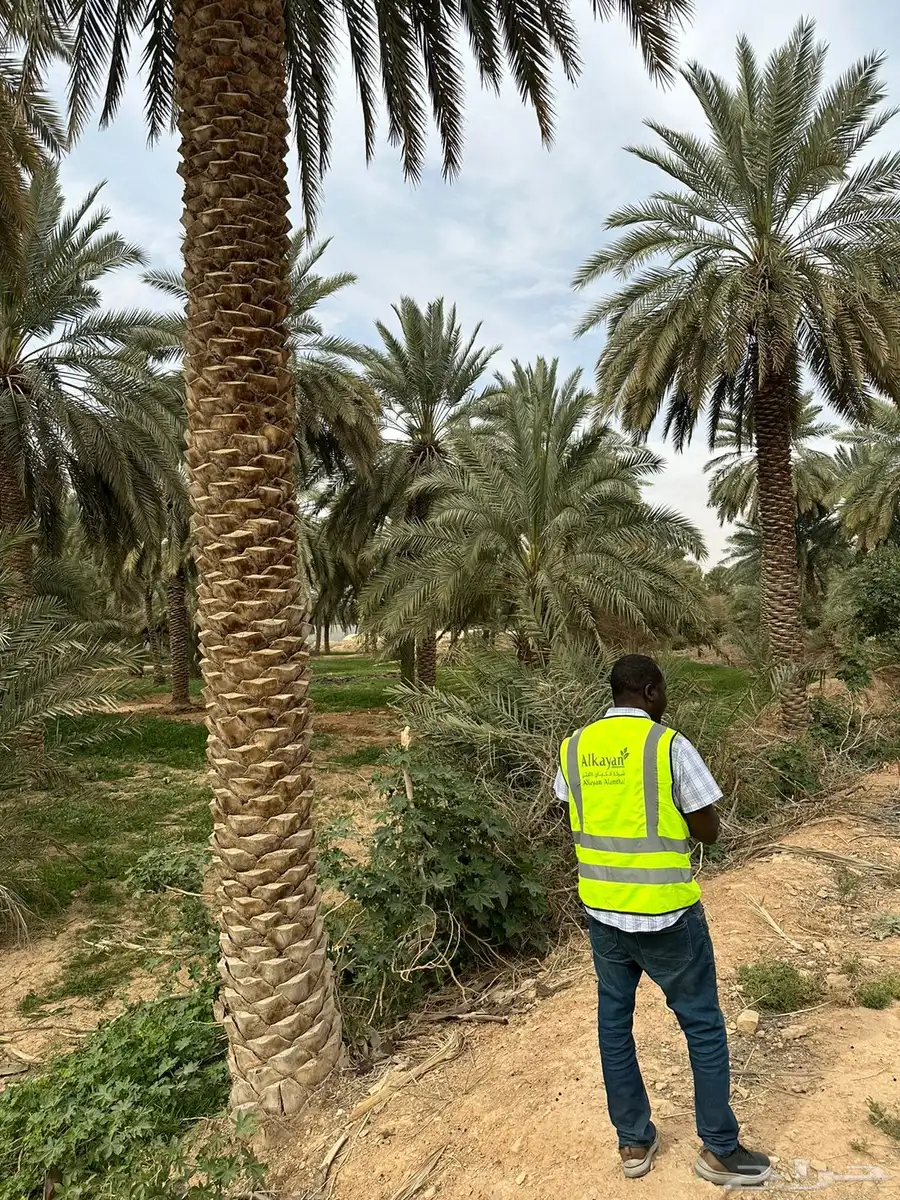 إستخراج تصاريح بيئية و رخص موان و عقود نقل مخلفات خطرة 9