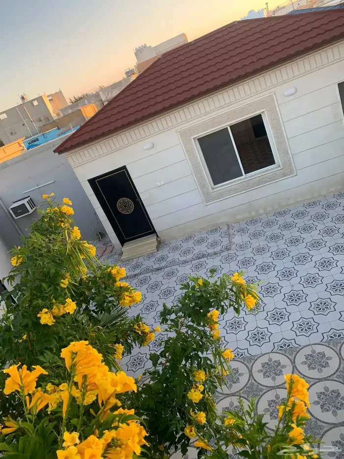 الطايف الحويه 10