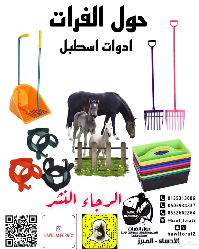 نشارة خشب صنوبر مستوردة 3