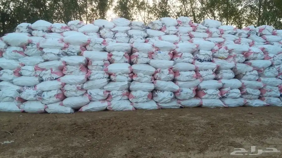 خبز ناشف 1