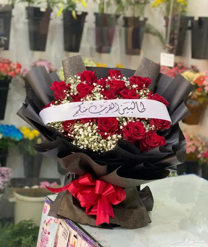 مندوب ورد الاحساء 11