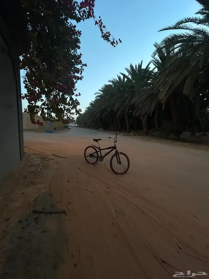 سيكل كوبرا للبيع مقاس 24 8