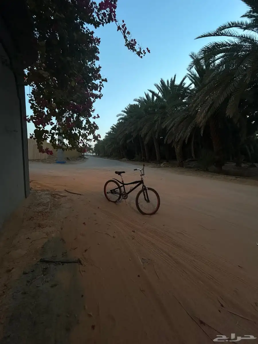 سيكل كوبرا للبيع مقاس 24 8