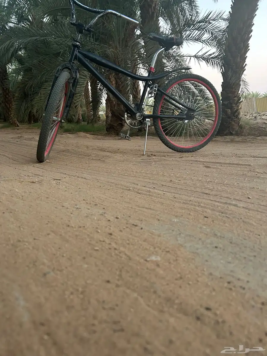 سيكل كوبرا للبيع مقاس 24 53