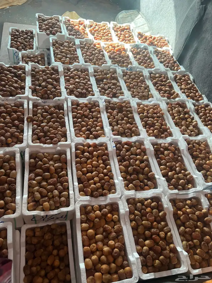 تمر روثانه 0