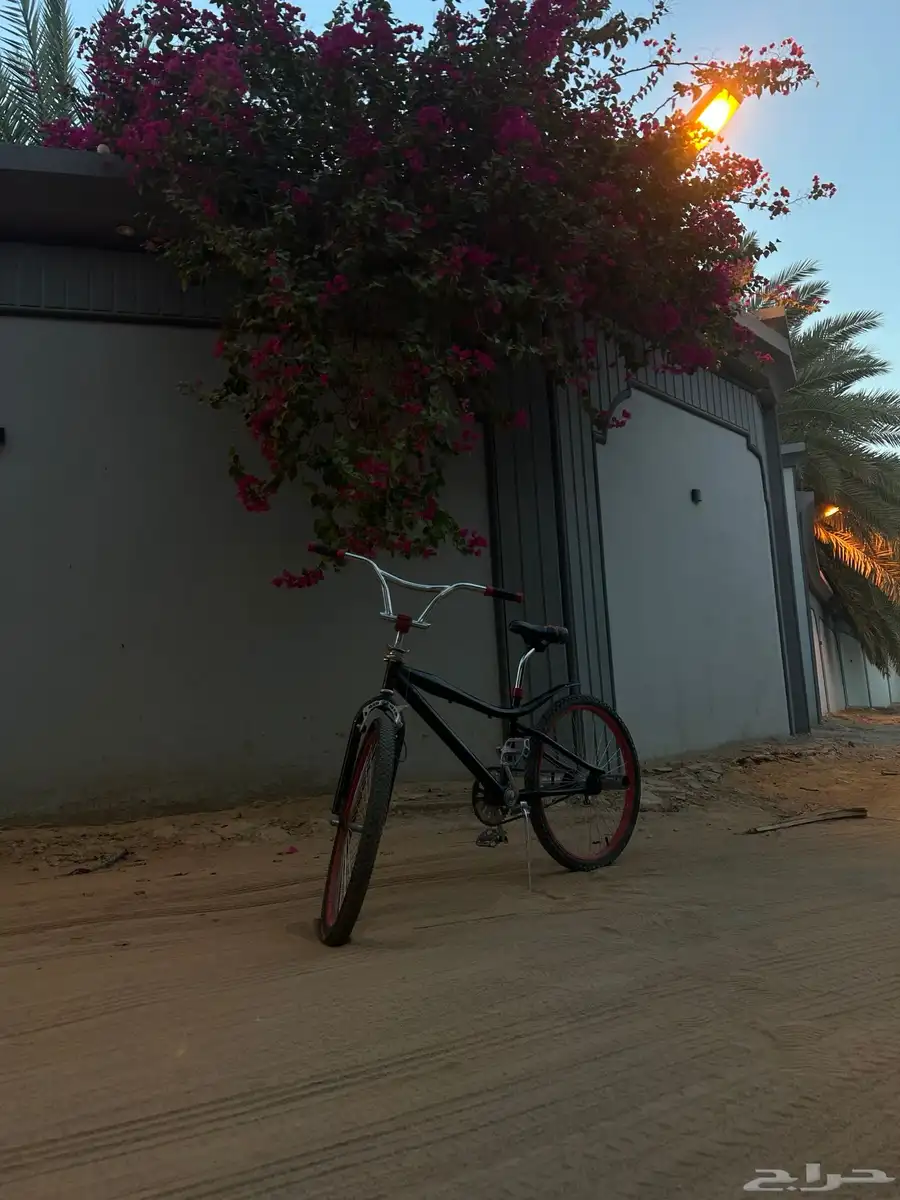 سيكل كوبرا للبيع مقاس 24 3