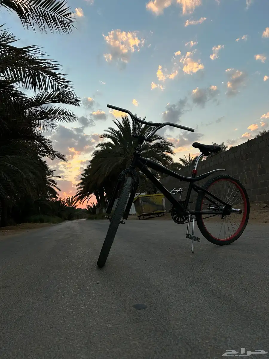 سيكل كوبرا للبيع مقاس 24 93