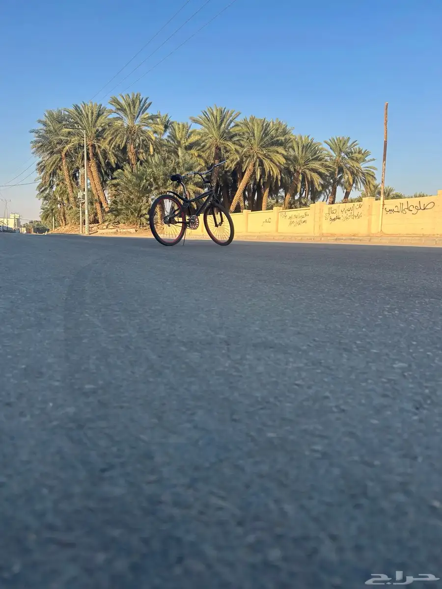 سيكل كوبرا للبيع مقاس 24 75