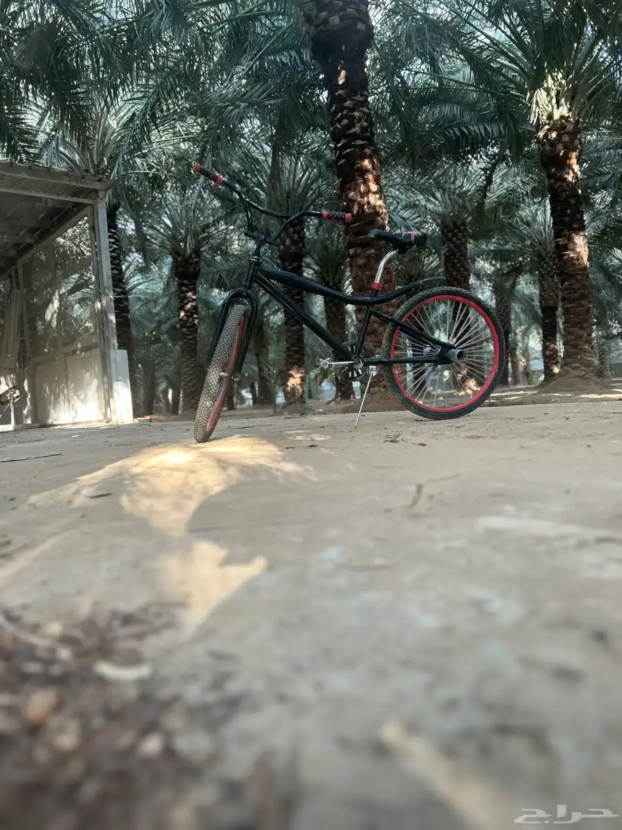 سيكل كوبرا للبيع مقاس 24 18