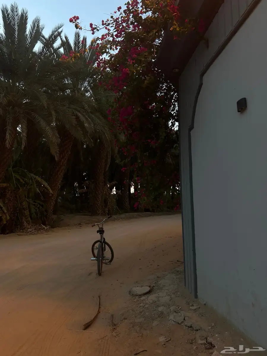 سيكل كوبرا للبيع مقاس 24 5
