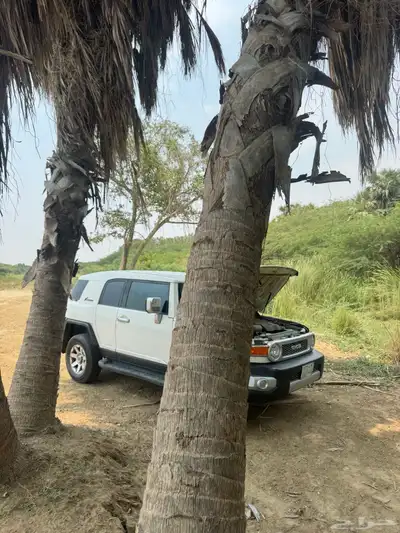 fg2 0
