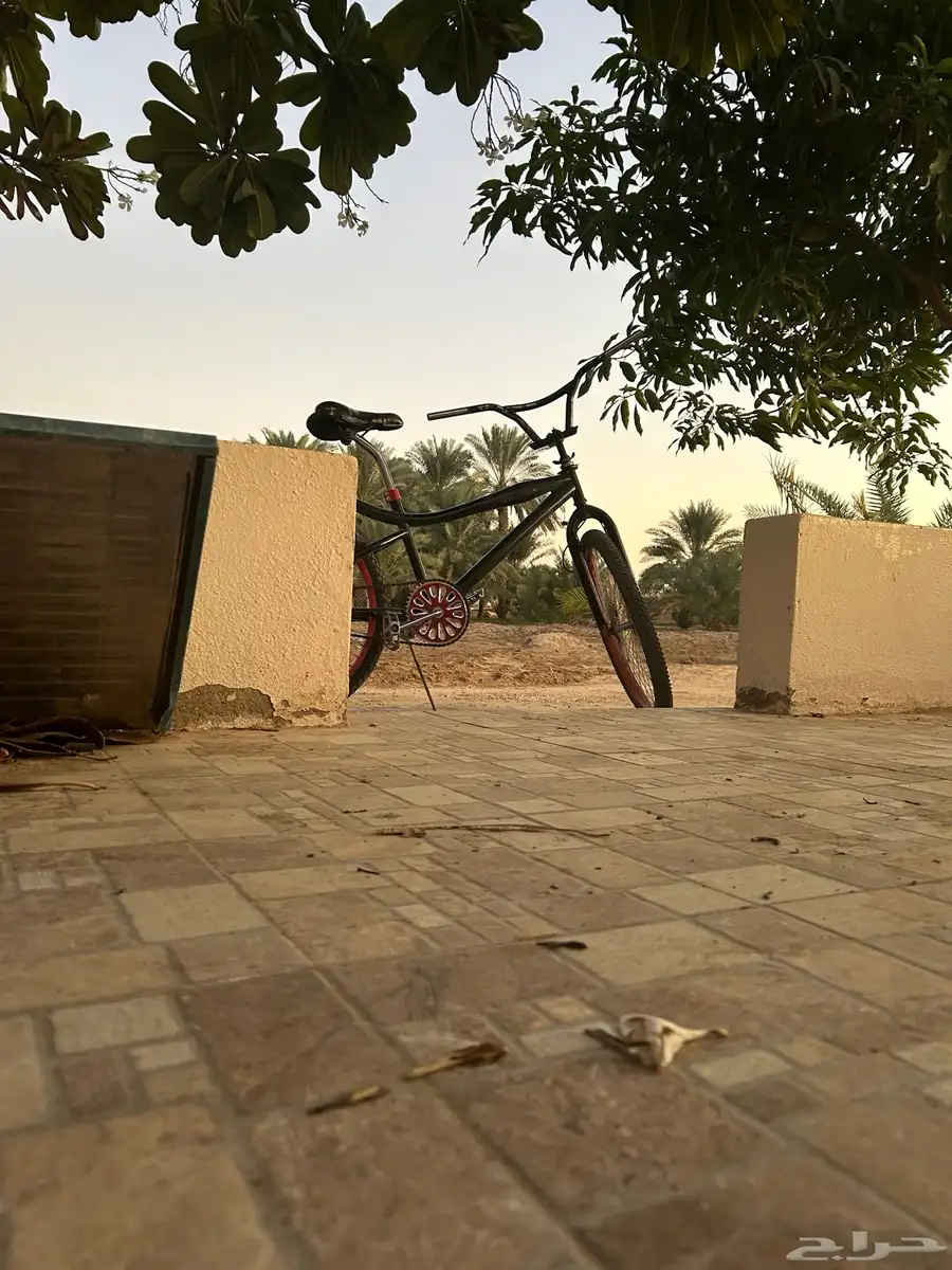 سيكل كوبرا للبيع مقاس 24 61