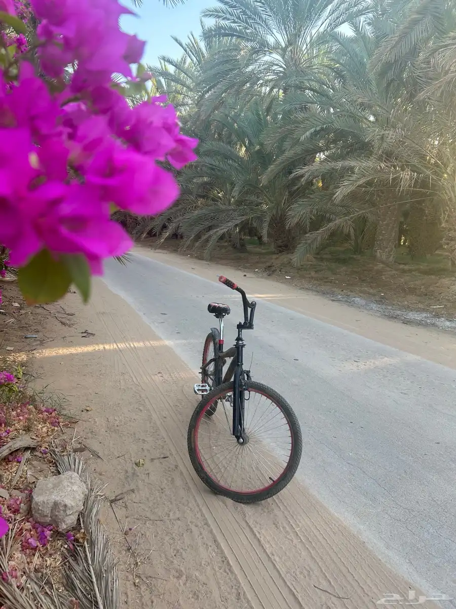 سيكل كوبرا للبيع مقاس 24 24