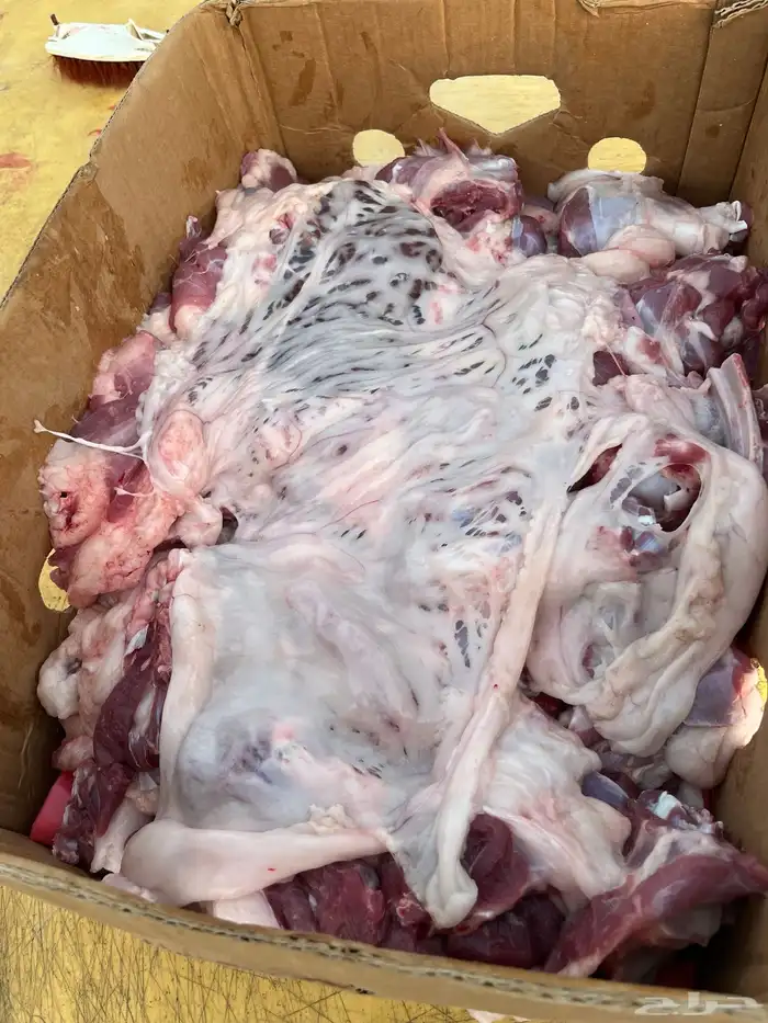 ذبايح. 4
