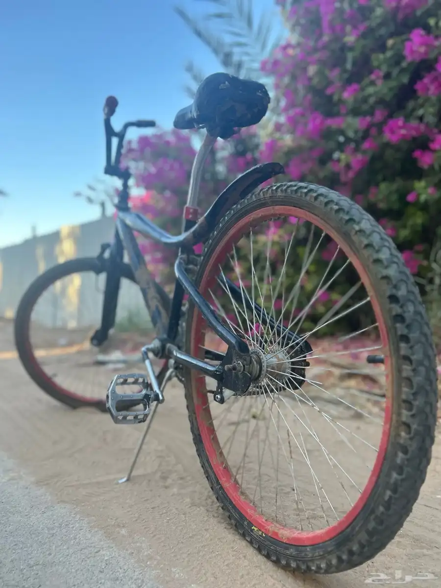 سيكل كوبرا للبيع مقاس 24 22